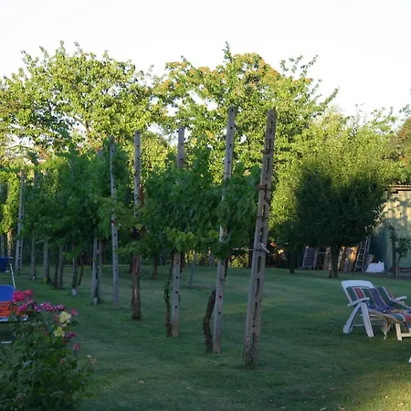 Lilli 3 * Ferrara