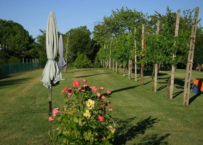 Lilli 3 Apartament *