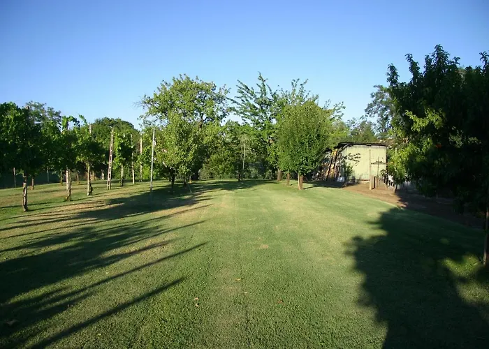 Lilli 3 Apartament Ferrara